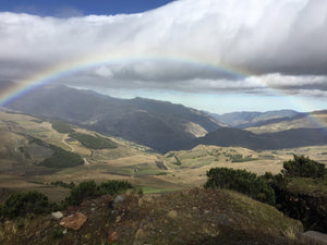 September/October 2018 Newsletter