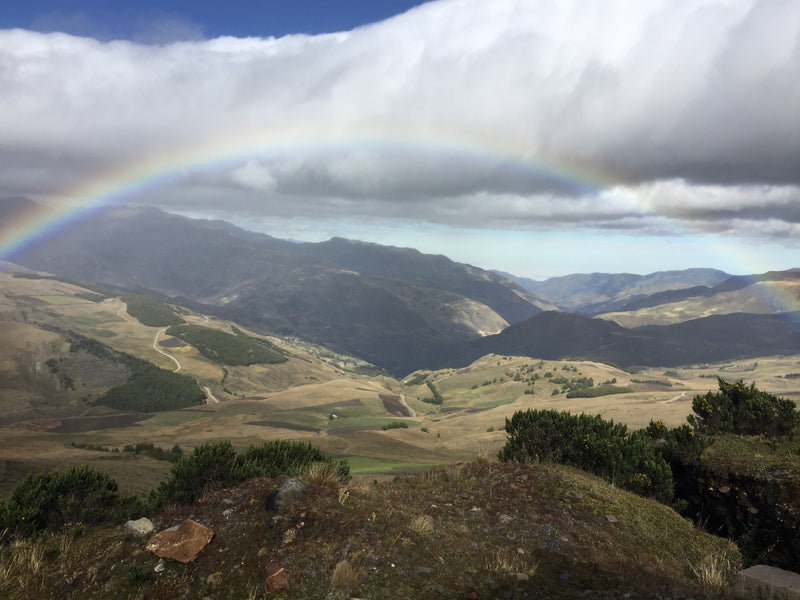 September/October 2018 Newsletter