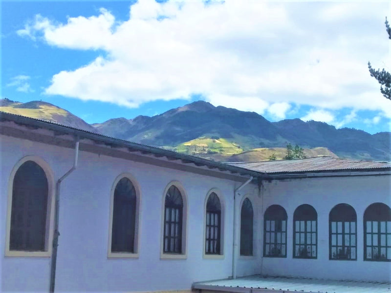 First Quarter Newsletter 2021
