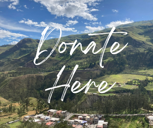 One-Time or Monthly Giving with Fees included